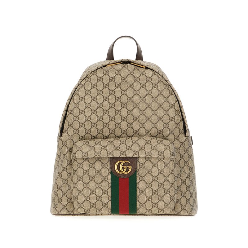 Gucci Man Bags Backpacks